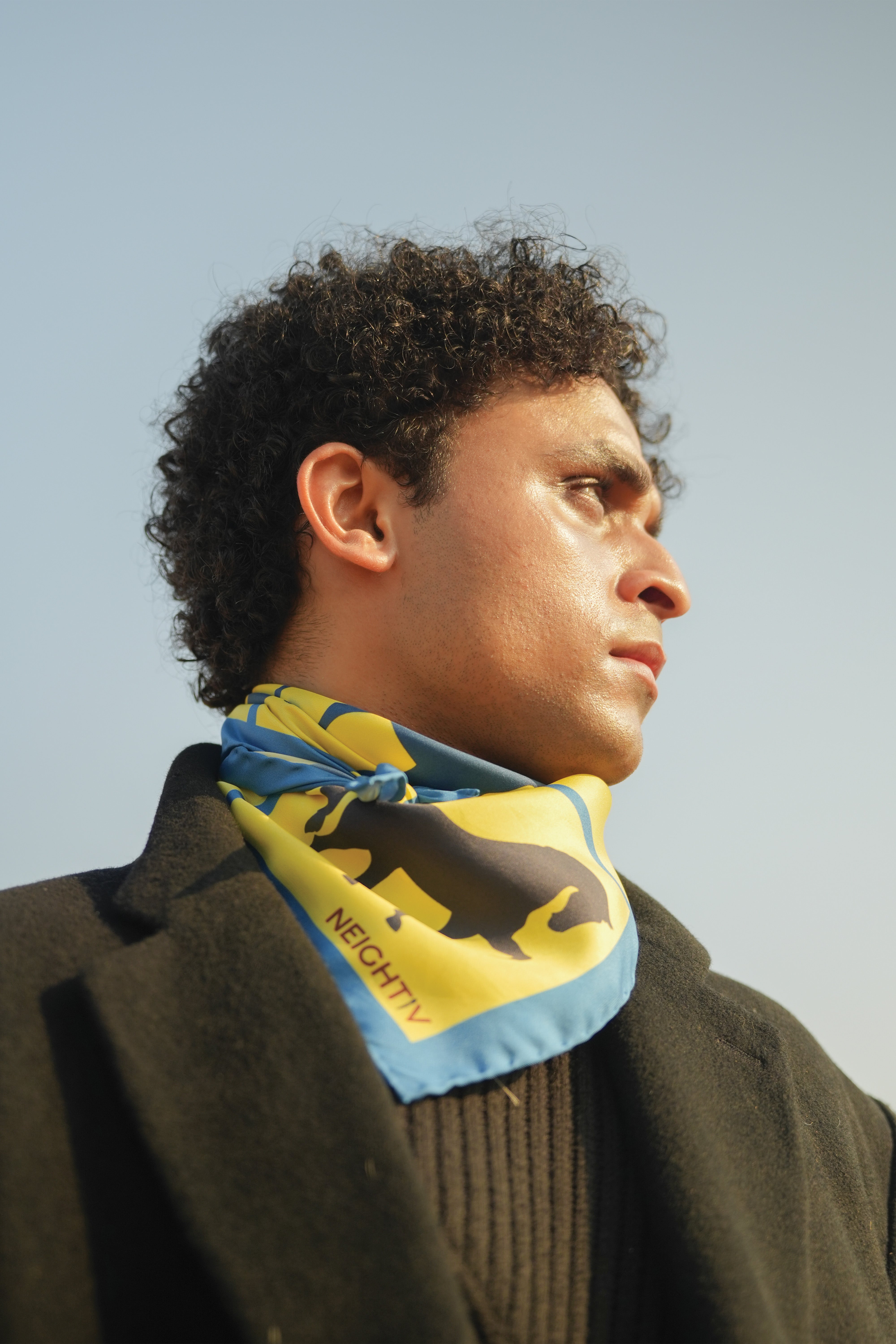 Dressage Rhythm Small Scarf