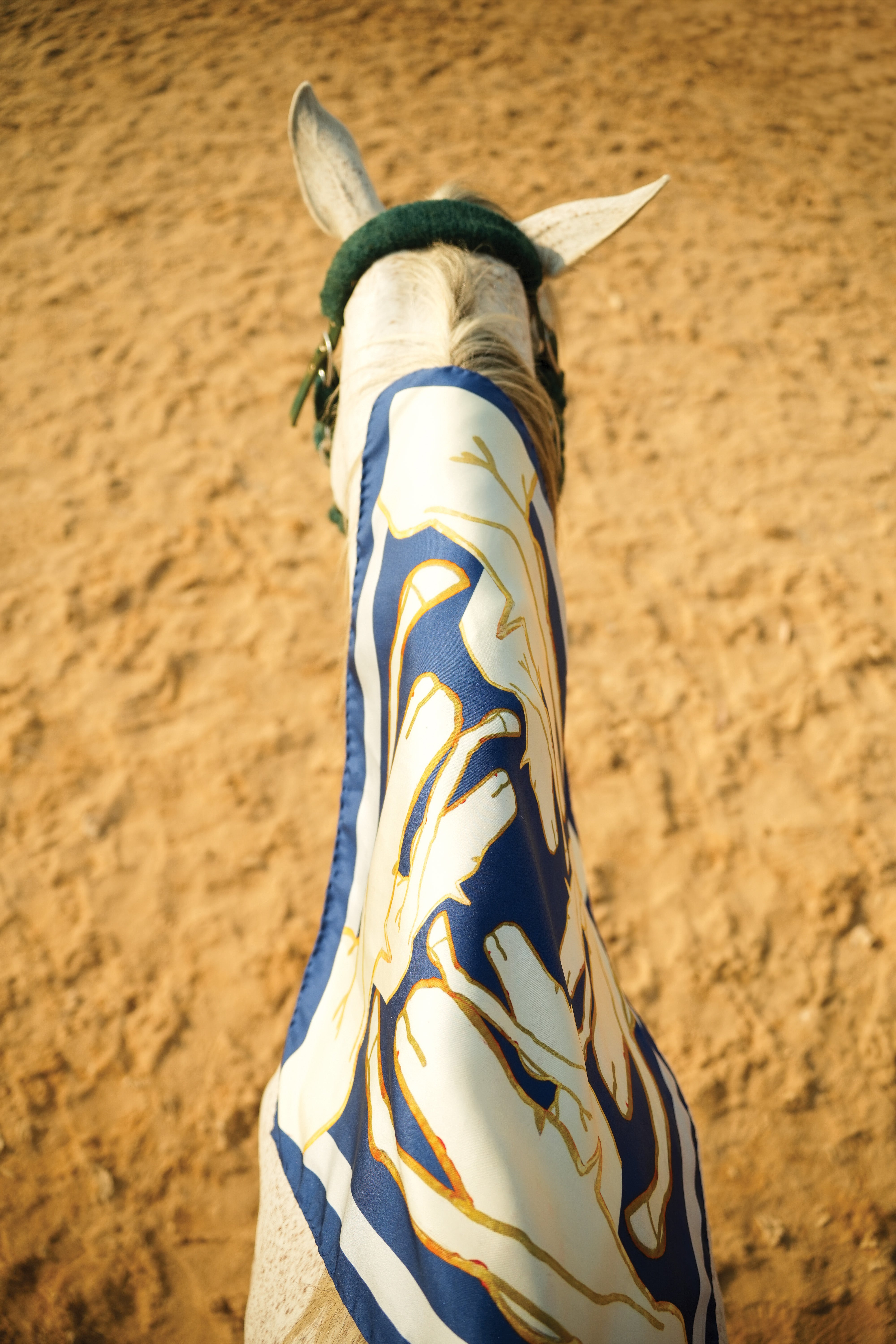 Its Feed Time in Blue Large Scarf