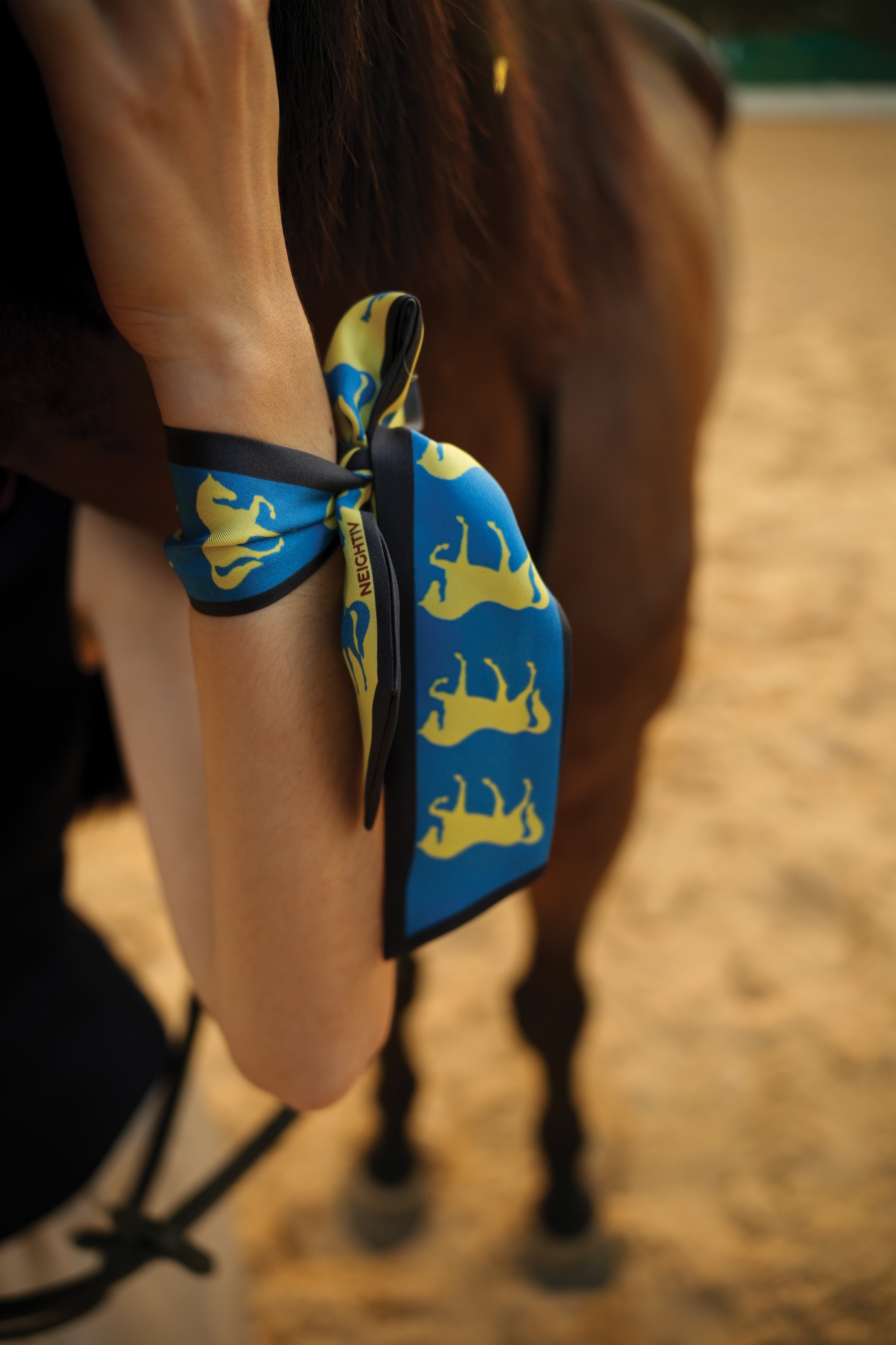 Dressage Rhythm Twilly