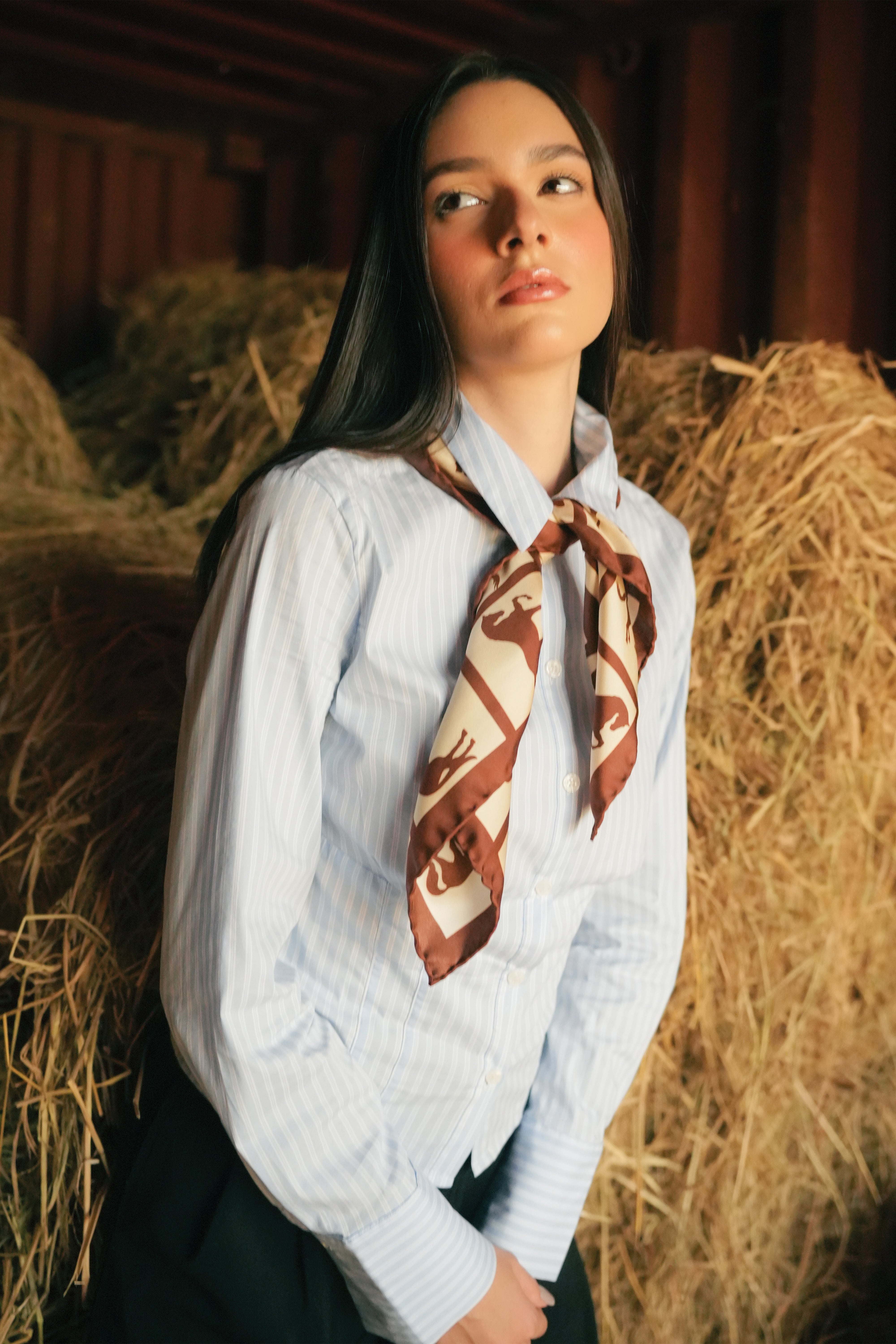 Equine Squares Small Scarf
