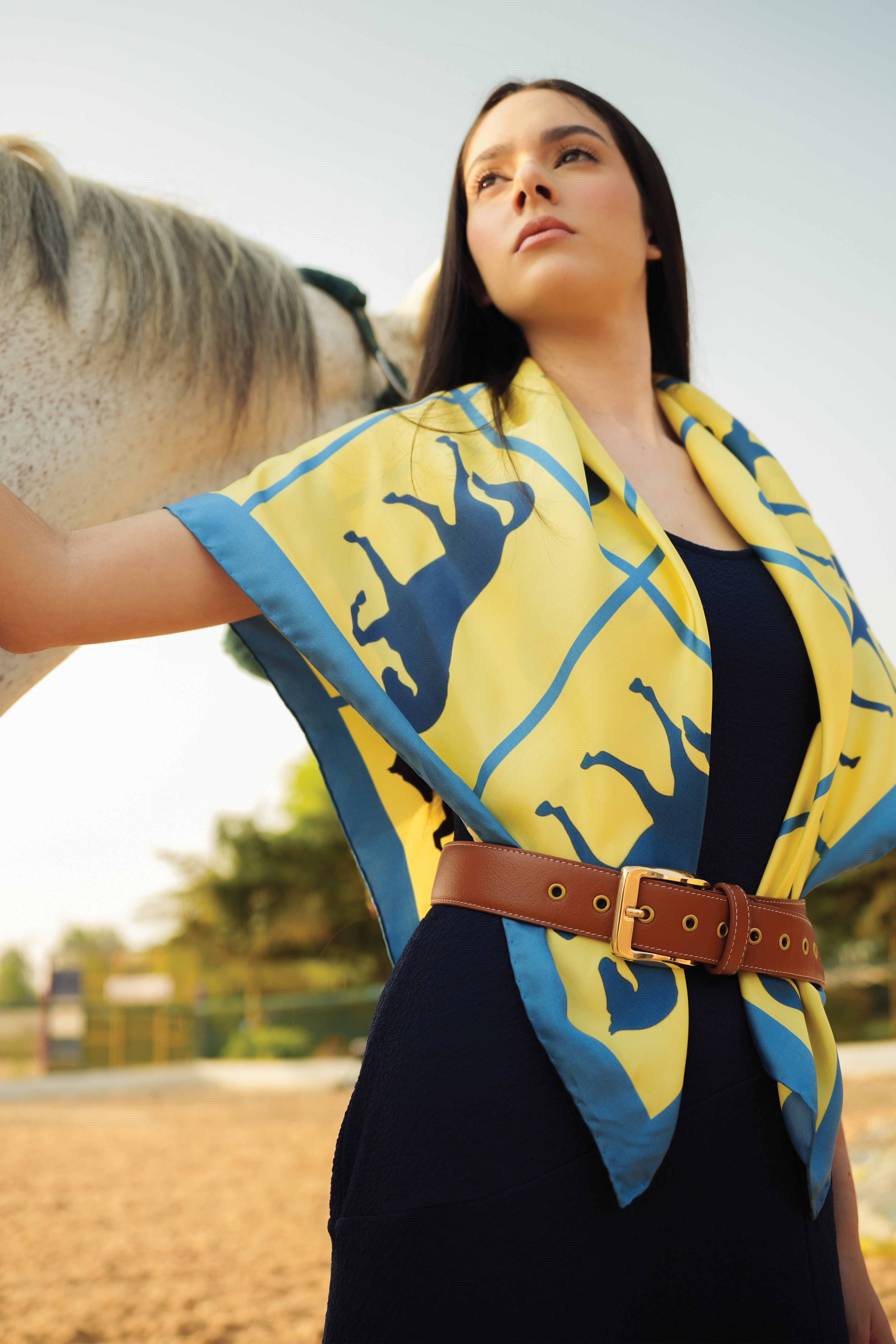 Dressage Rhythm Large Scarf