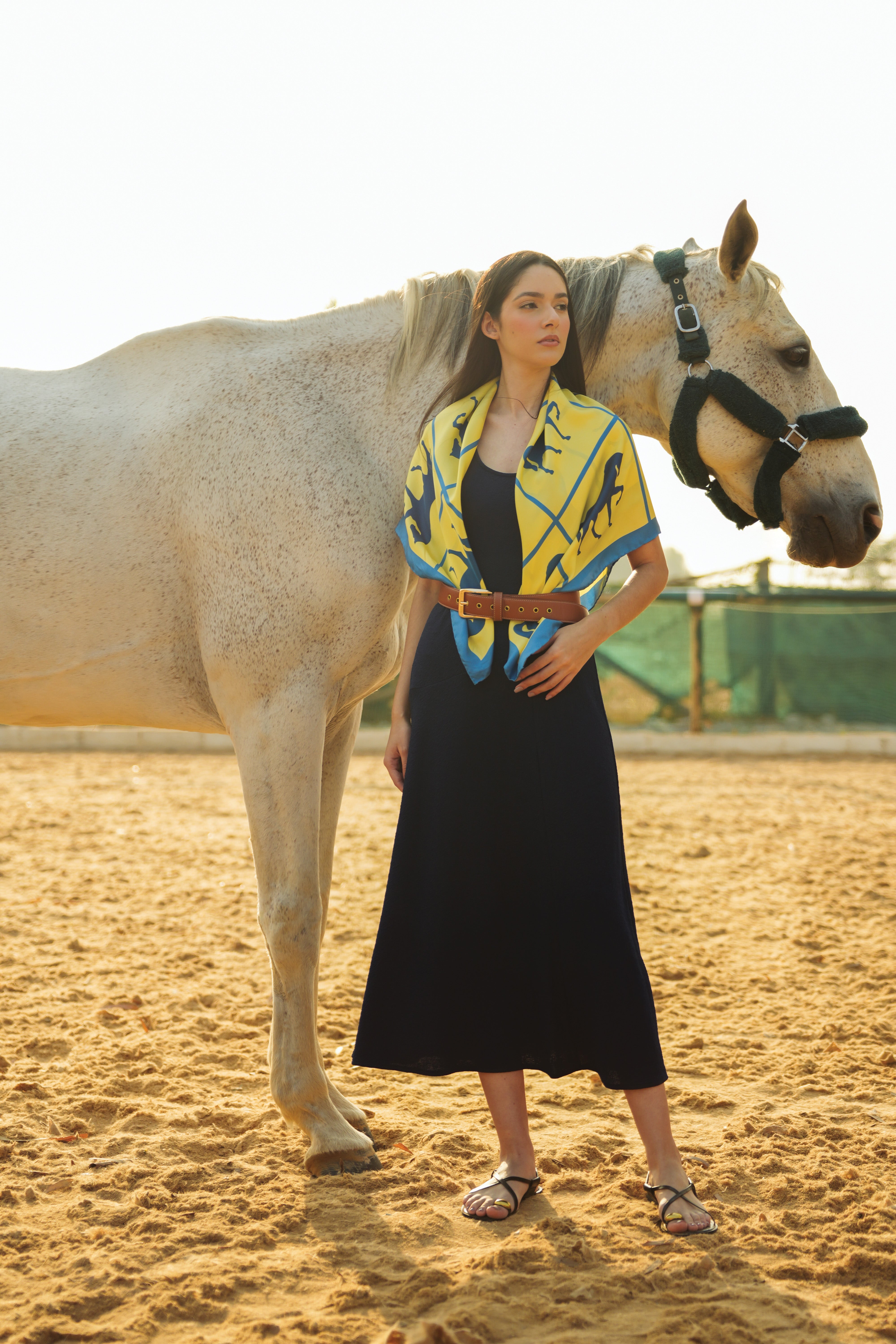 Dressage Rhythm Large Scarf