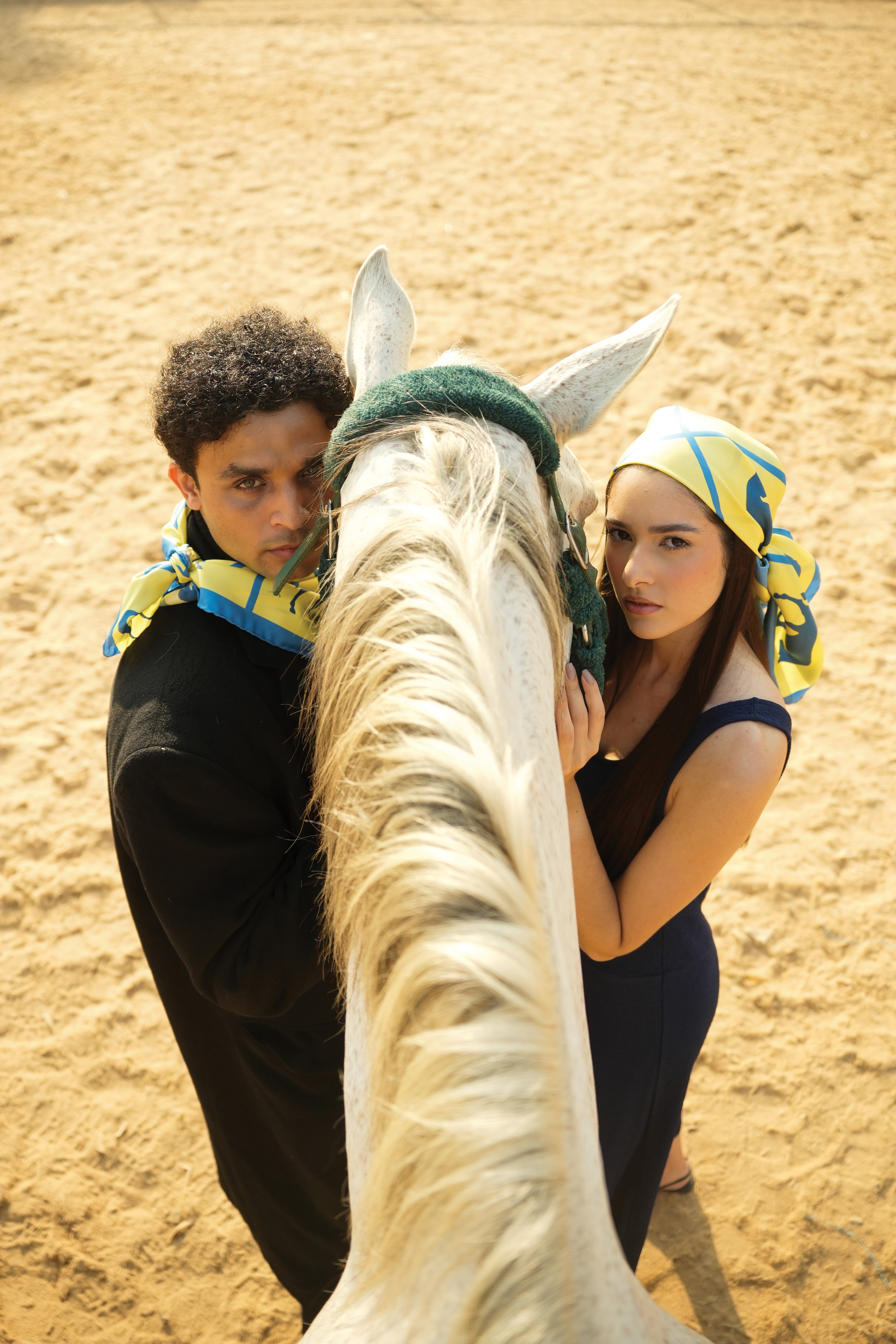 Dressage Rhythm Small Scarf