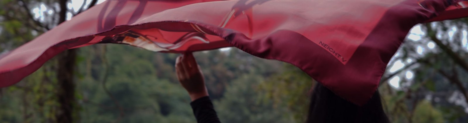 Desktop Banner