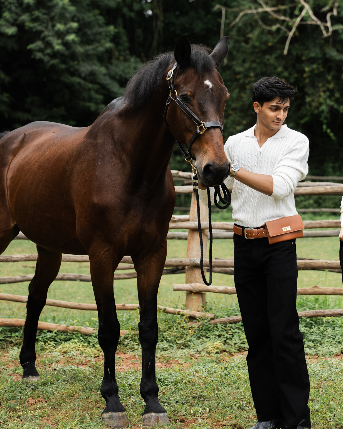 The Knight Ride Belt